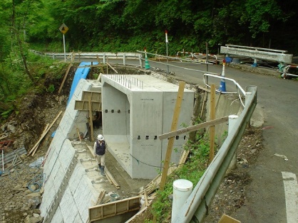 道路拡幅工事です